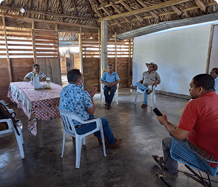 Asistencia y representación legal